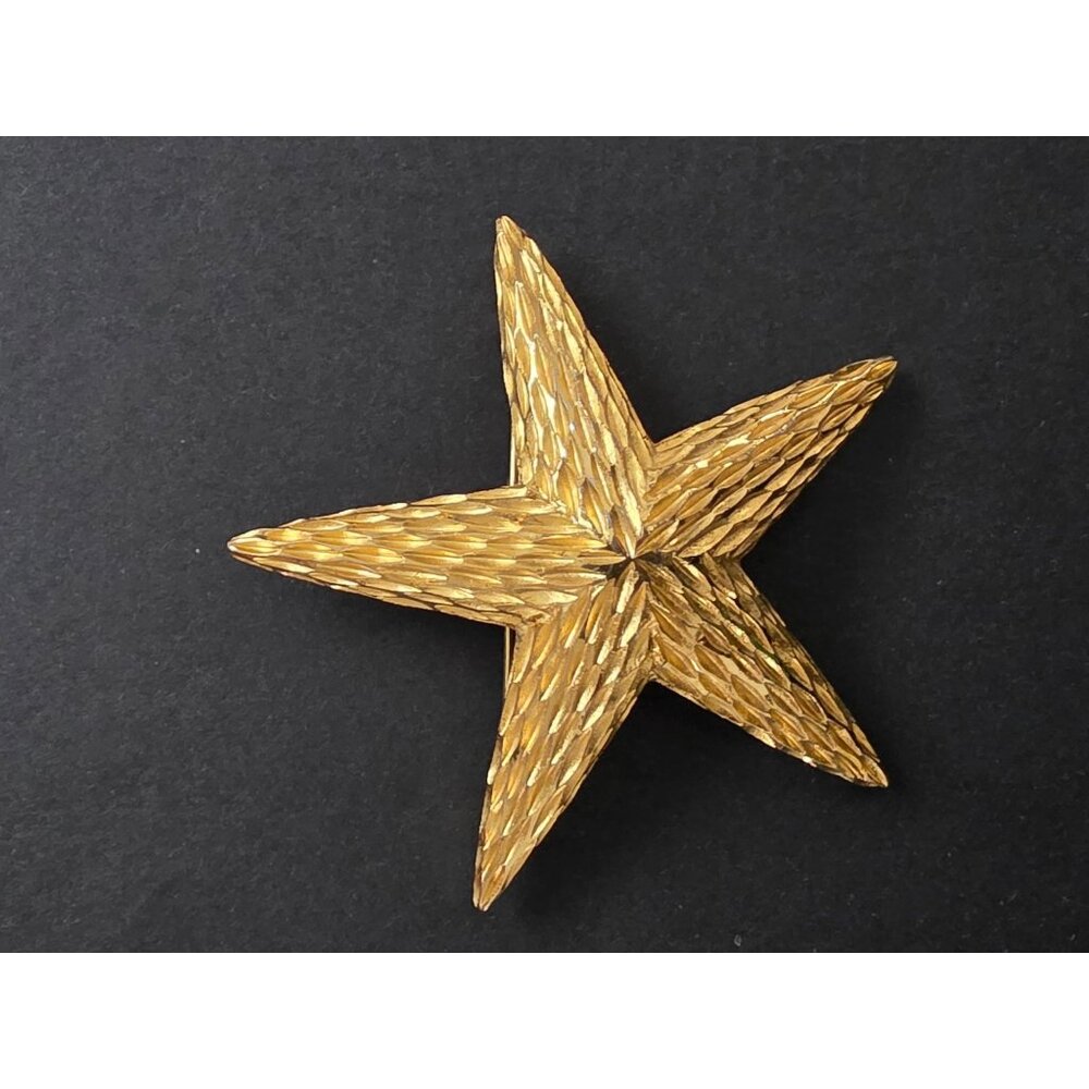 Vintage Gold-Tone Starfish Brooch Pin By BSK Textured Design 3 Inches